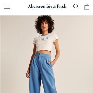 Abercrombie Tailored Pants